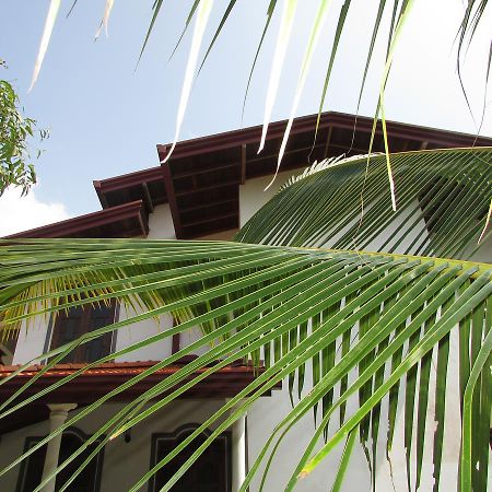 Falcon Villa Induruwa Εξωτερικό φωτογραφία